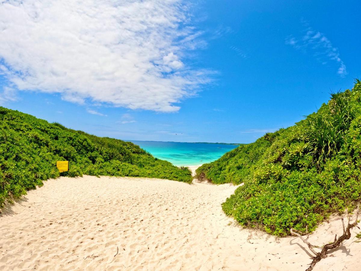 Happy Island *